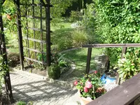 IMG_6417.webp