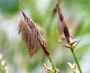 image001.webp