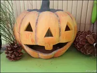 c032.webp