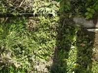 Gunder_Fräse (4).webp