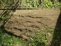 Gunder_Fräse (6).webp