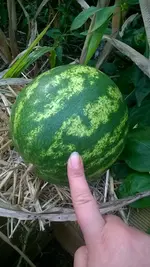 WP_20181006_004.webp