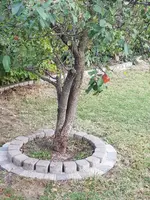 20181006_173818.webp