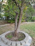 20181006_173832.jpg