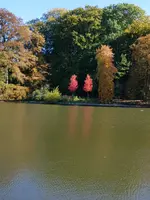 20181007_141052.webp