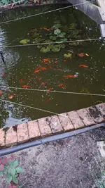 20180908_114723.webp