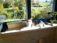 IMGP6911.webp