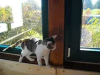 IMGP6913.webp