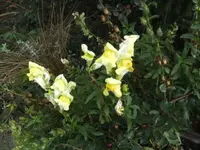 BILD0752.webp