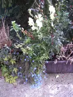 BILD0753.webp