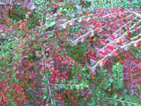 BILD8460.webp