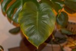 DSC_8759.jpg