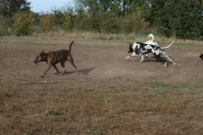 0M3A1101.webp