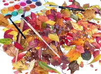 image001.webp