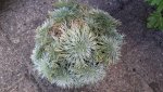20181006_160335.jpg