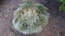 20181006_160335.webp