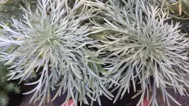 20181006_160434.jpg