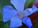 image004.jpg