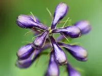 image007.jpg