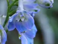 image009.webp