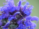 image010.jpg