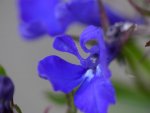 image012.jpg