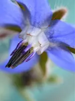image014.jpg