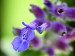 image015.jpg