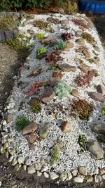20181008_100844.webp