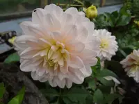 DSC03740.webp