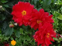 DSC03749.webp
