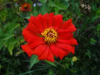 DSC03747.webp
