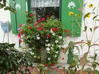 DSC03755.webp