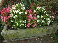 DSC03737.webp