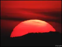 c059.webp