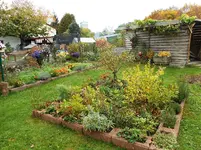 Herbst 9.webp