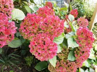 Herbst 10.webp