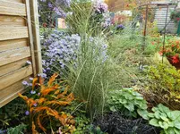 Herbst 11.webp