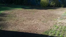 20181011_113700.jpg