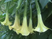 BILD0790.JPG