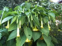 BILD0774.webp