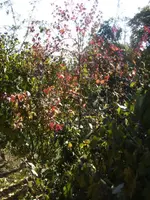 BILD0771.JPG