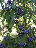 BILD0772.JPG