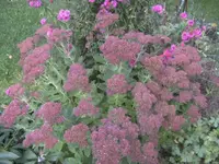 BILD0782.webp