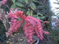 BILD0793.webp