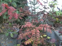BILD0794.JPG
