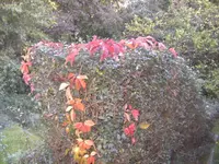 BILD0795.JPG
