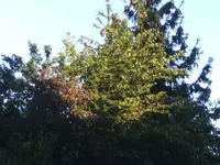 BILD0799.webp