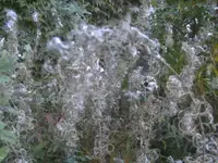 BILD0796.JPG
