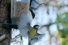 image010.webp